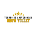 Snow Volley